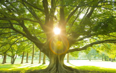 Building sustainable communities in a post-Covid world