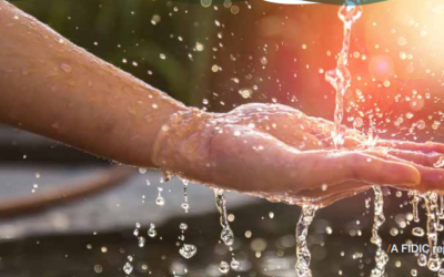 Establishing the value of water – the business case for change