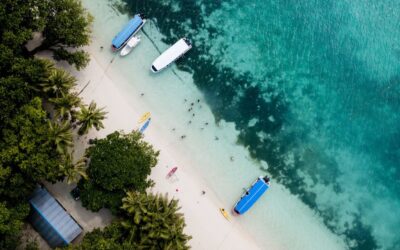 Multilateral Development Banks issue joint statement at COP26