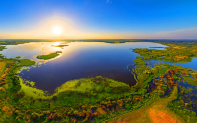 Jacobs sets up new Office of Global Climate Response and ESG