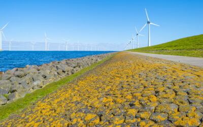 State of the World Series – Net Zero – What Next?