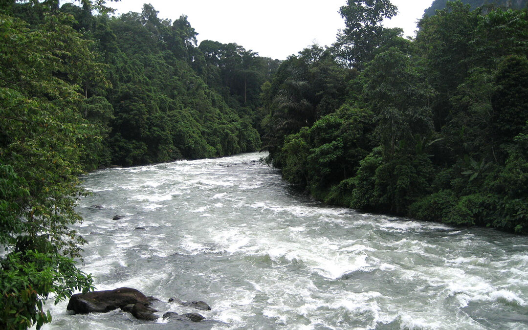 Indonesia: Hydroelectric Power Plant to buffer intermittency of other renewables