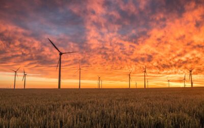 Davos: No more waiting for slowest on climate change