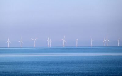 Carbon Trust seeks bids for 16 offshore wind R&D projects