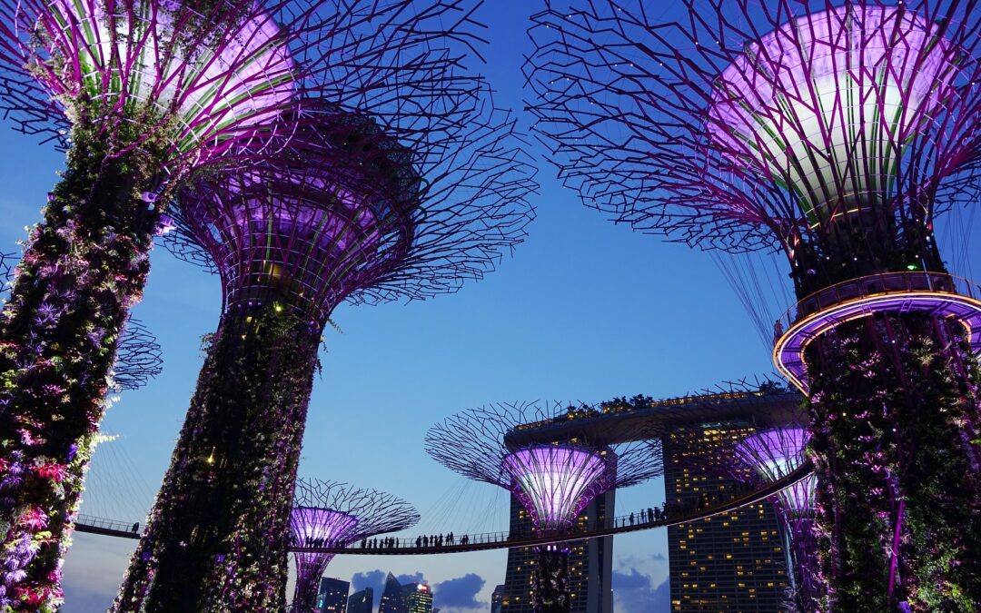 Net Zero spotlight: Singapore’s port, electricity and enterprise challenges